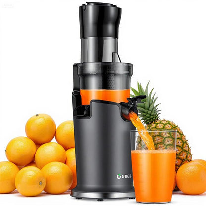 Slow Masticating Juicer