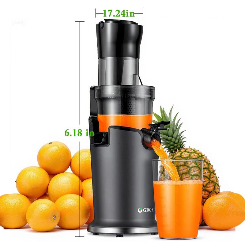 Slow Masticating Juicer