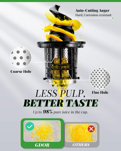Slow Masticating Juicer